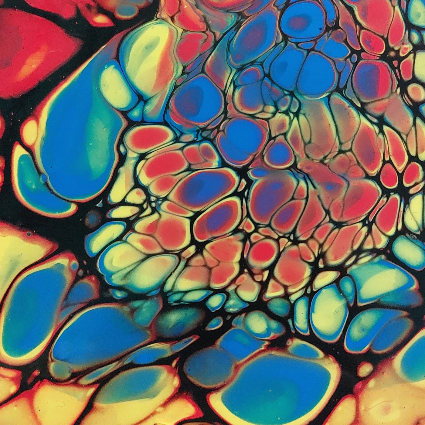 Album "Ega see ei tähenda" artwork