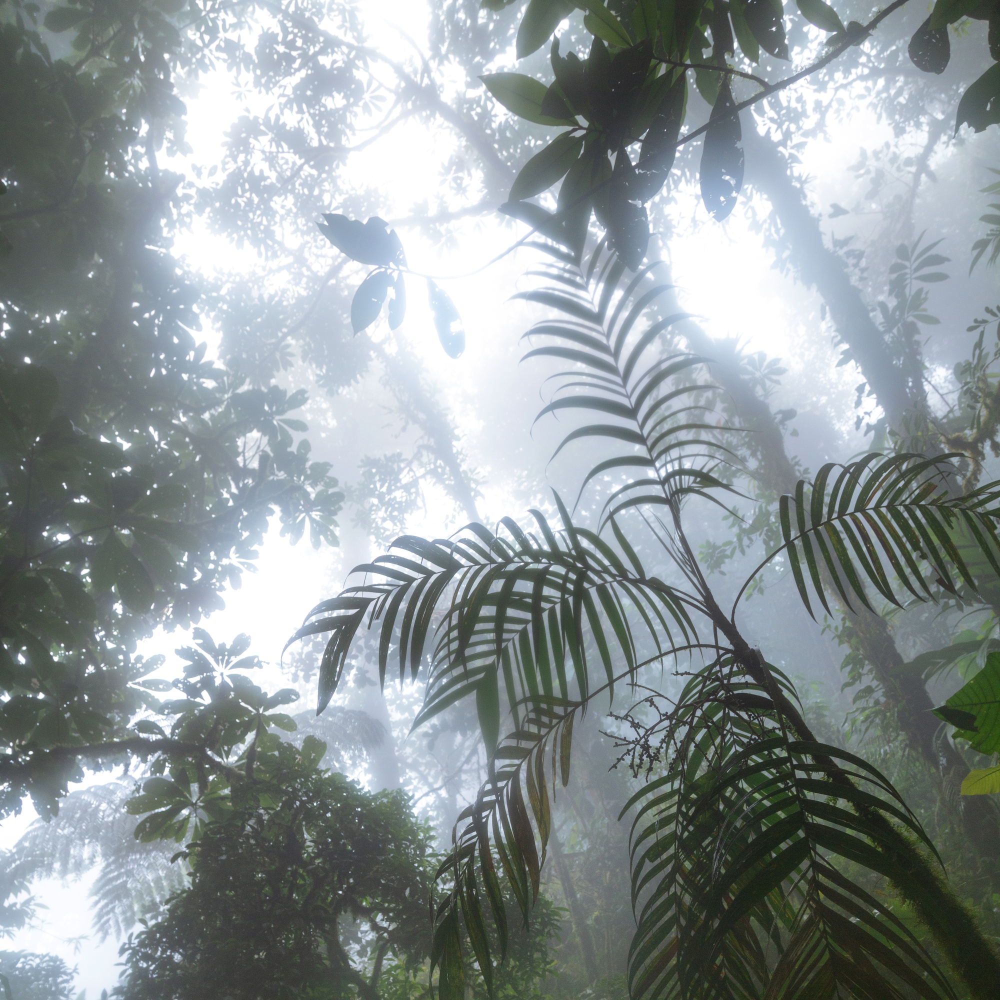 Album "Undercurrents" artwork